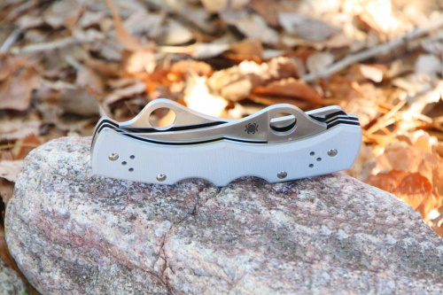 Складной нож Spyderco Dyad® - 44GP&SGY фото 6