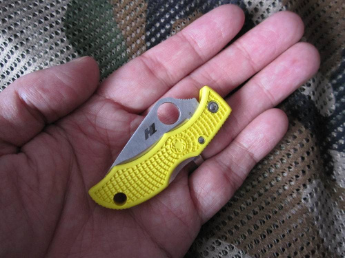 147 Spyderco Ladybug 3 Salt - LYLP3 фото 7